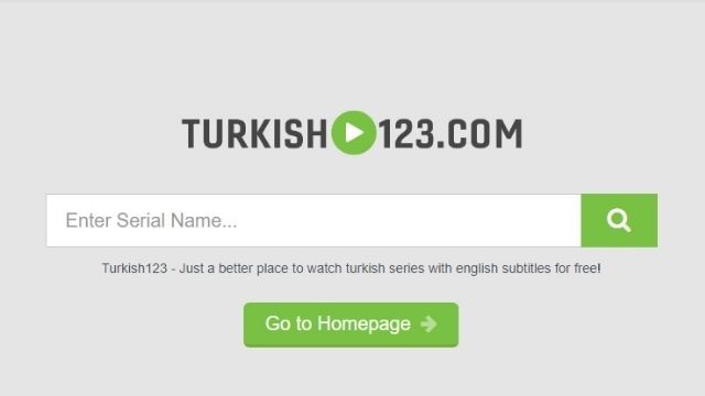 How Can I Get the Turkish123 App for Android and Ios [2022]?