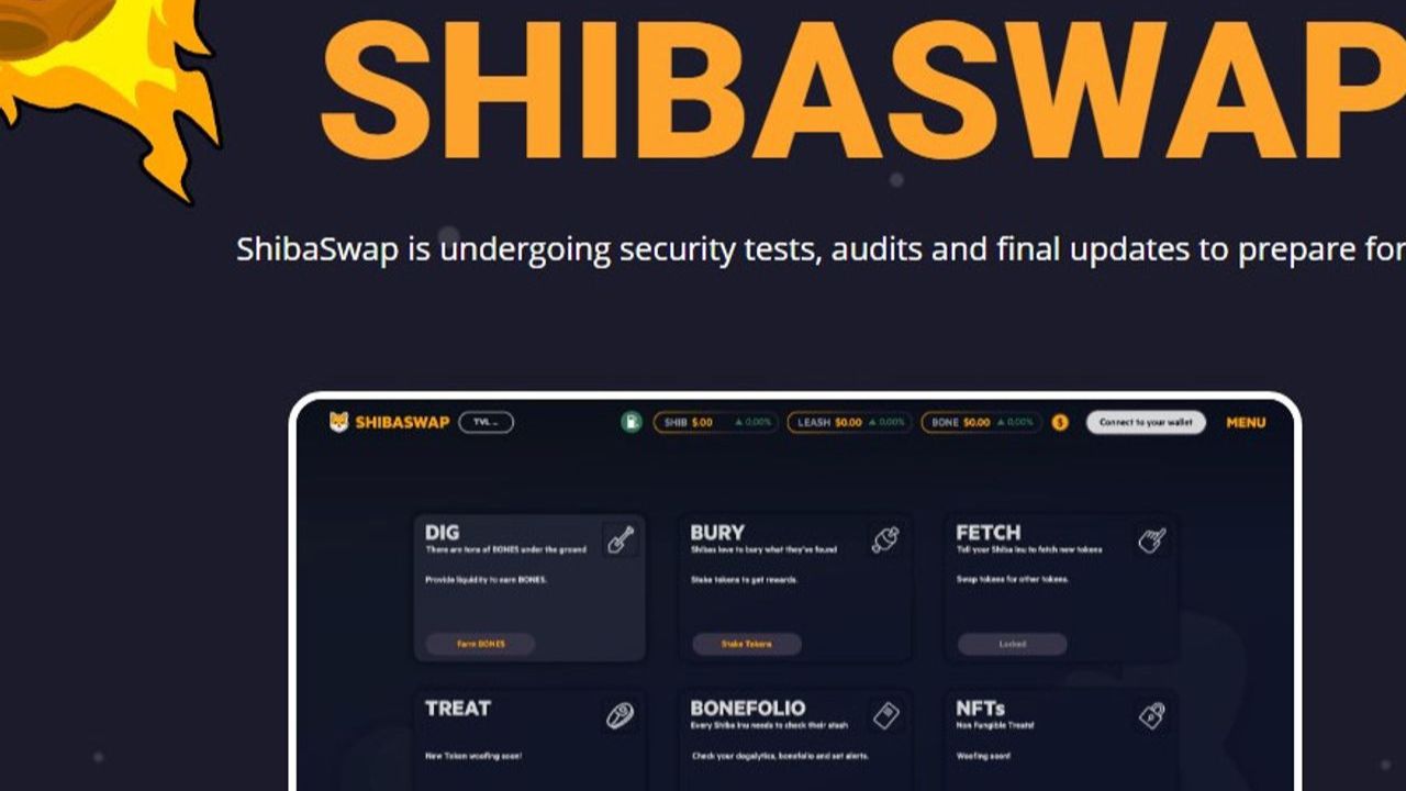 Download Shibaswap App, How to Use Shibaswap Shibu Inu Coins for Sal 