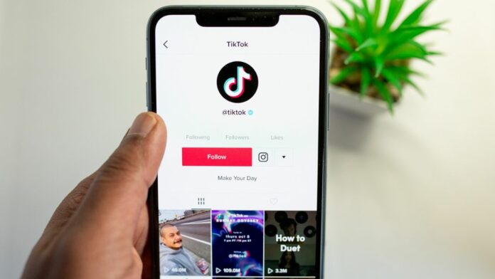 Download the Tiktok Counter App for Android and Ios, as Well as the Tiktok Calculator Apk