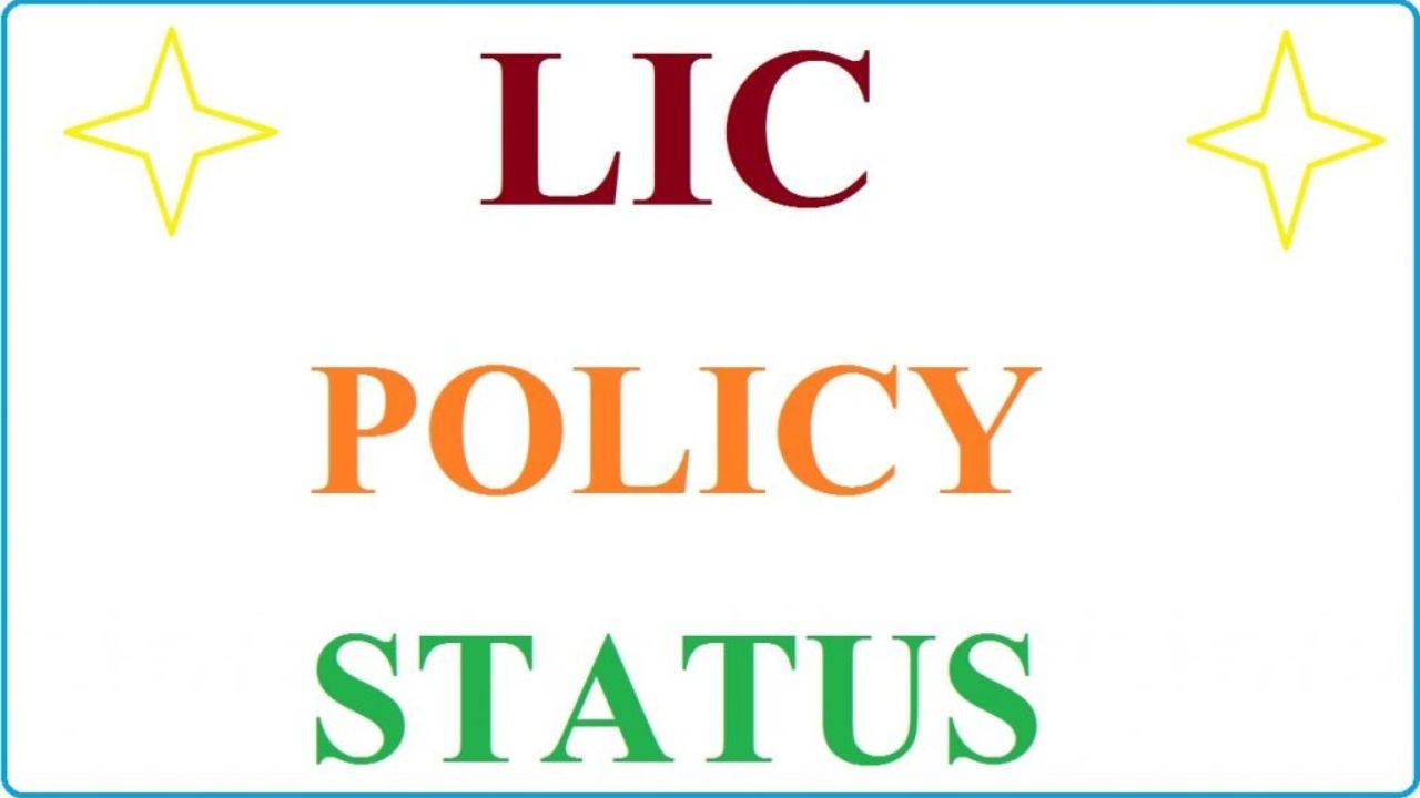 How Can I Check the Status of My Lic Policy Without Registering Online [2022]?