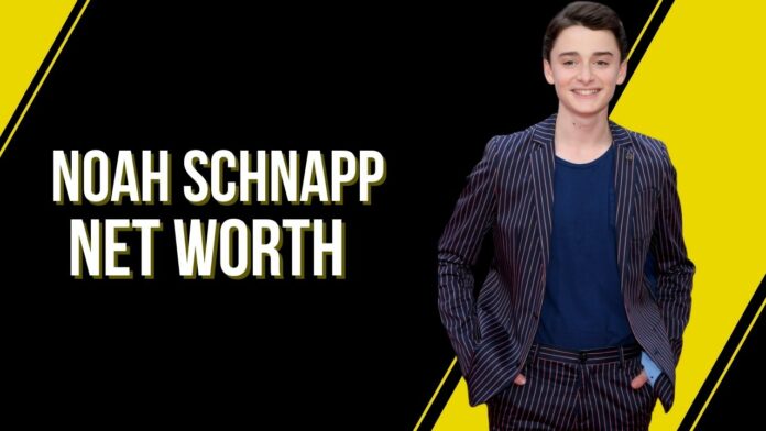 Noah Schnapp Net Worth: Salary, Bio, Girlfriend, and Family