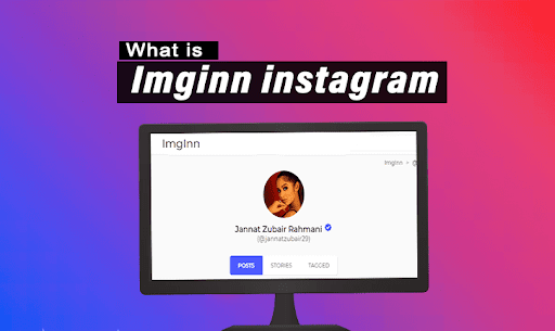 Imginn - Instagram Downloder