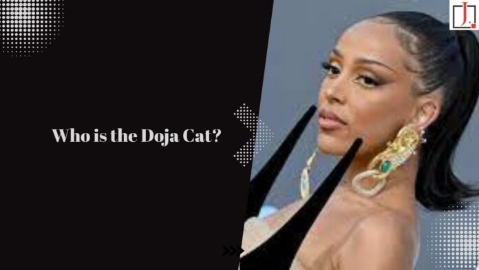 Who Is Doja Cat: Is It True that Doja Cat and Noah Schnapp Have Gotten Wedded?