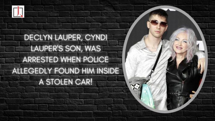 Declyn Lauper, Cyndi Lauper's son, was arrested when police allegedly found him inside a stolen car.