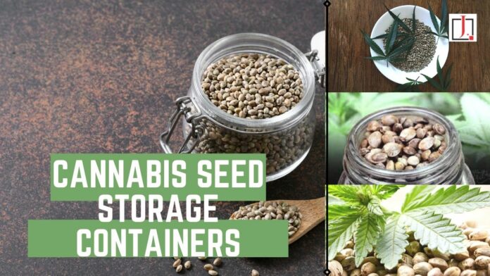 Cannabis Seed Storage Containers: The Number of Methods for Preserving Cannabis Seeds Varies Greatly!