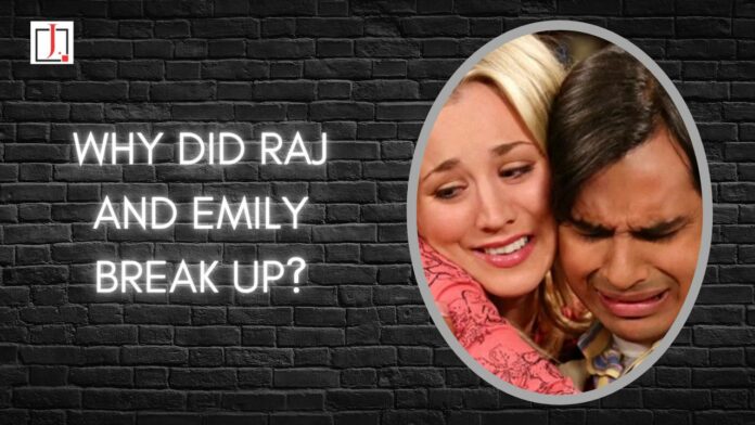 Why Did Raj and Emily Break up After Five Years of Dating?