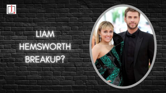 Liam Hemsworth Breakup