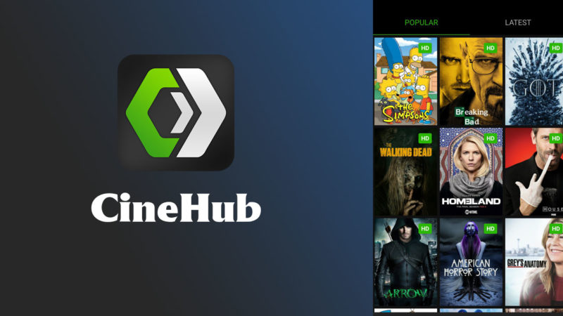 Cinehub: What Are Its Features and How to Use It?