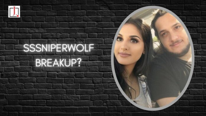 Sssniperwolf Breakup