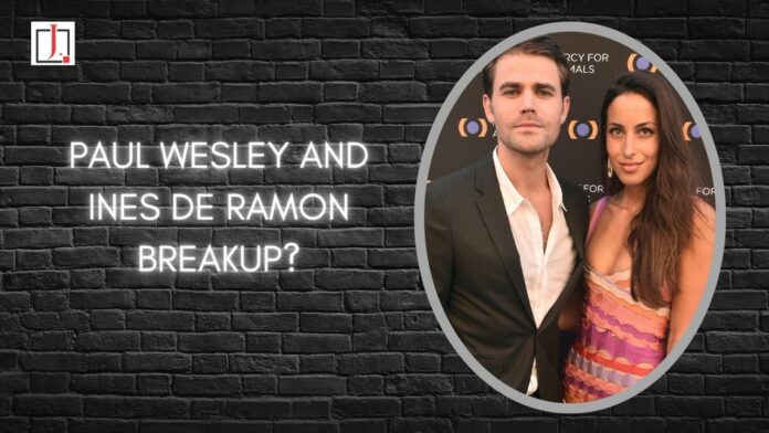 Paul Wesley and Ines de Ramon breakup