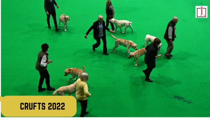 What Amount of Money Is up For Grabs for Crufts 2022?