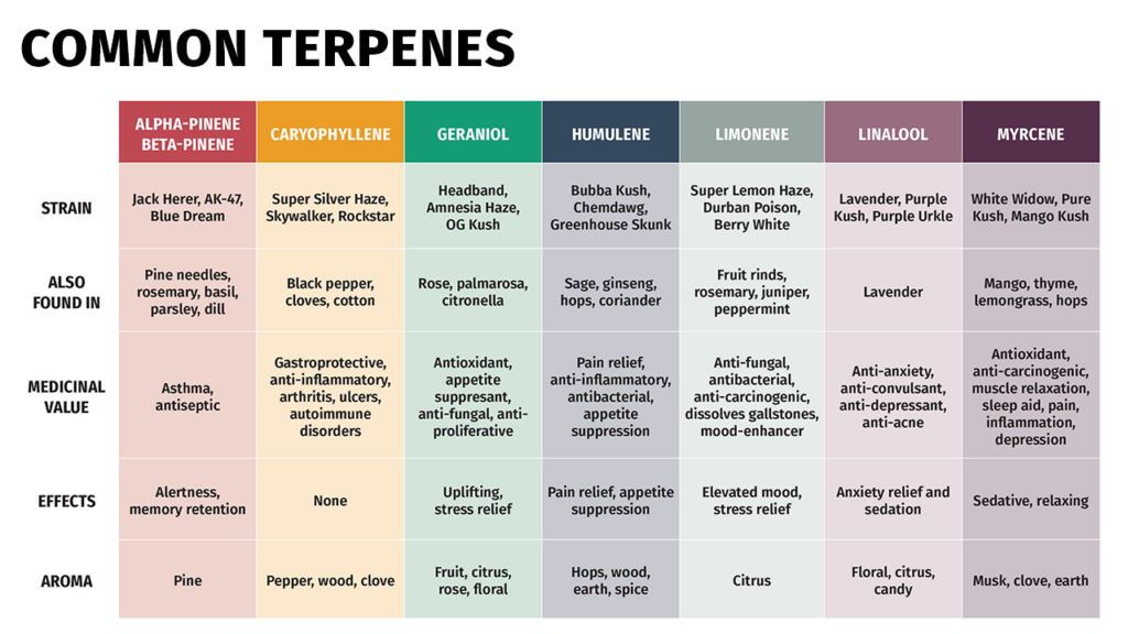  What Are Terpenes