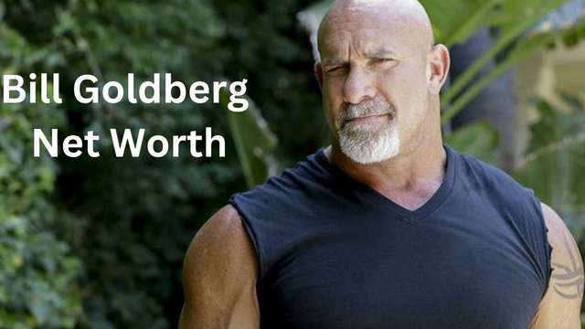 bill goldberg net worth