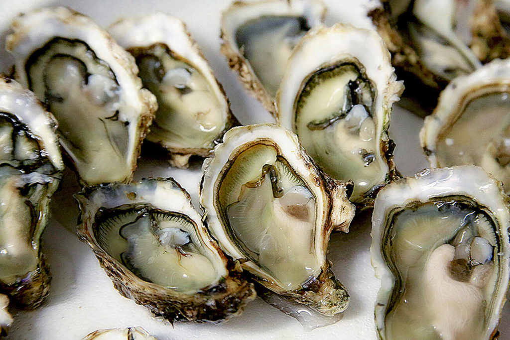 The FDA Issued A "Do Not Feed" Warning For Oysters