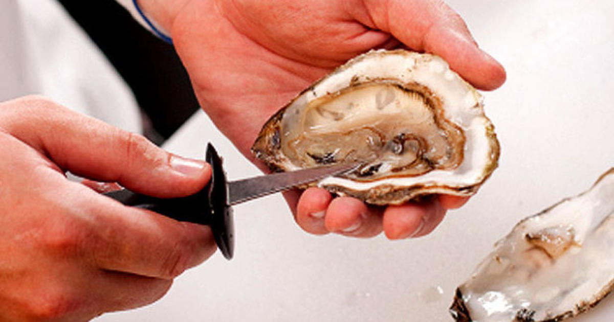 The FDA Issued A "Do Not Feed" Warning For Oysters