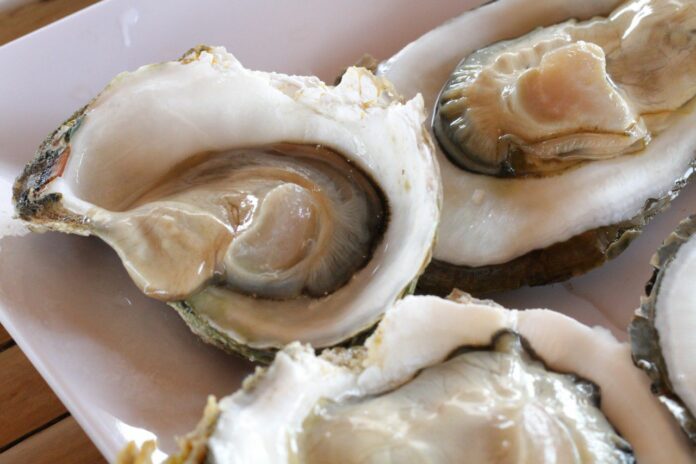 FDA Warns Against Eating These Raw Oysters Distributed in NJ After Reported Illnesses