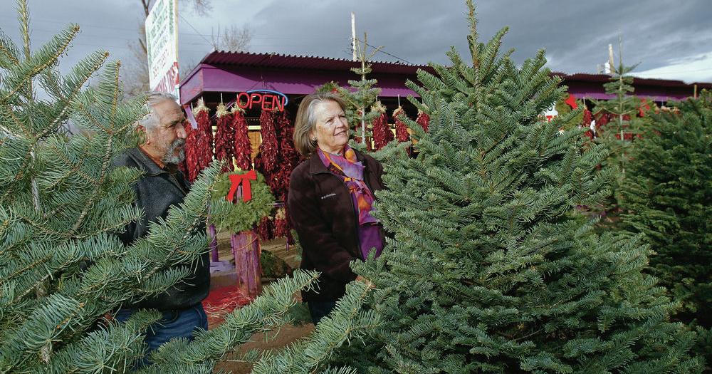 In New Jersey, Christmas Tree Prices Are Increasing Due to Farmers' Escalating Expenses!