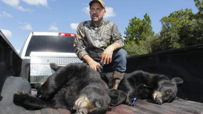 New Jersey Puts Off The Black Bear Hunt 