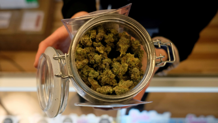 In New Jersey, How Will Marijuana Tourism Grow As Sales Continue Increase?