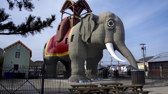 The Elephant That Changed South Jersey is Back