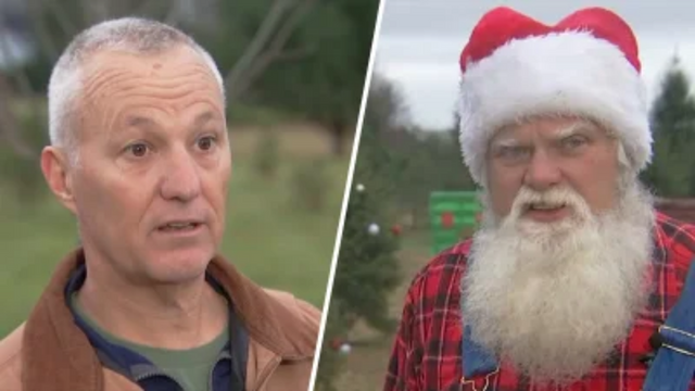 New Jersey Christmas Tree Farm Owner Recovers After Tornado; Others Keep Holiday Cheer Going