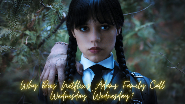 Why Does Netflix's Adams Family Call Wednesday 