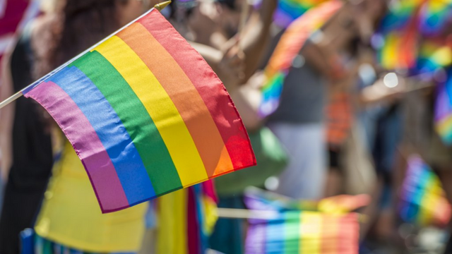 It's Possible That the Ban on Same-sex Marriage in Virginia Will Be Lifted Soon.