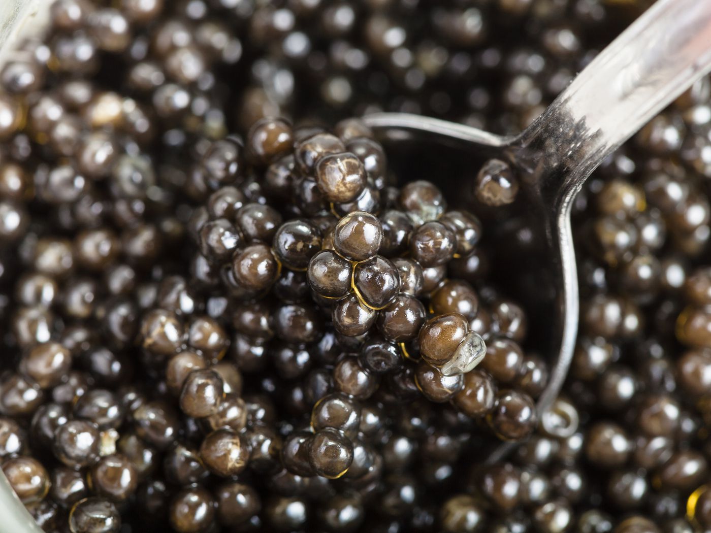The New Jersey Town Once Known As The 'Caviar Capital Of The World'
