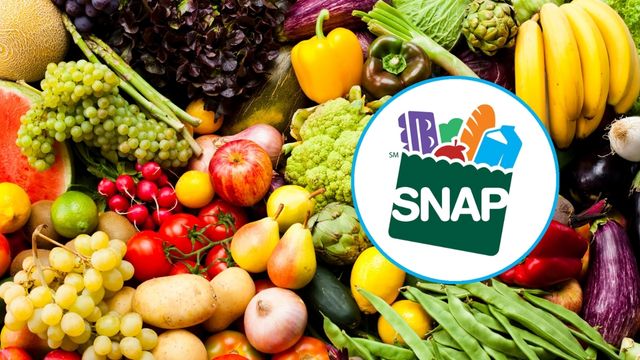 According to County Officials, Scammers Continue to Target SNAP Participants 