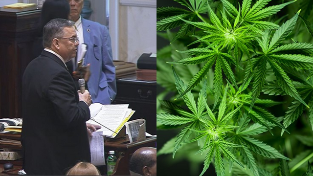 Lawmakers in South Carolina Are Attempting to Make Medical Marijuana Available to Patients.
