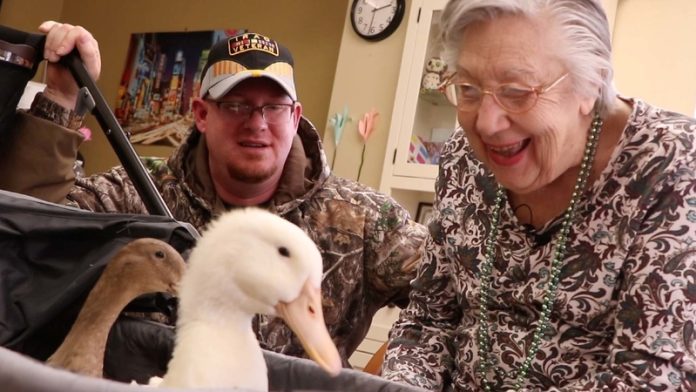 A Veteran from New Jersey Brings Therapy Ducks to Places Where Seniors Live.