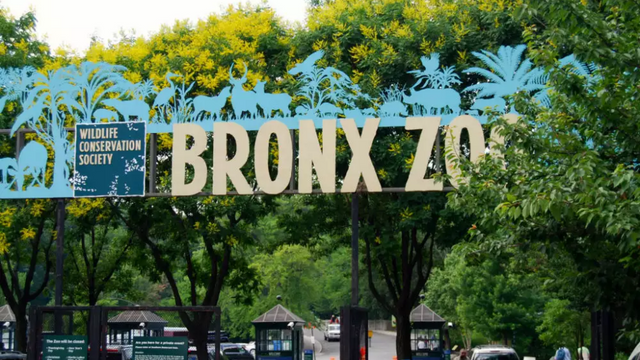 The Bronx Zoo hosts a free family day for locals every year