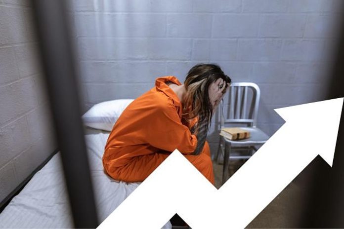 'Since 1980, the Number of Women in Jail Has Gone up By 525%. how Is Nj Doing?